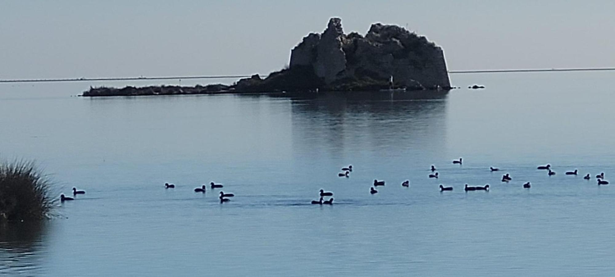 La Llar De Laura 2 Villa Amposta Dış mekan fotoğraf