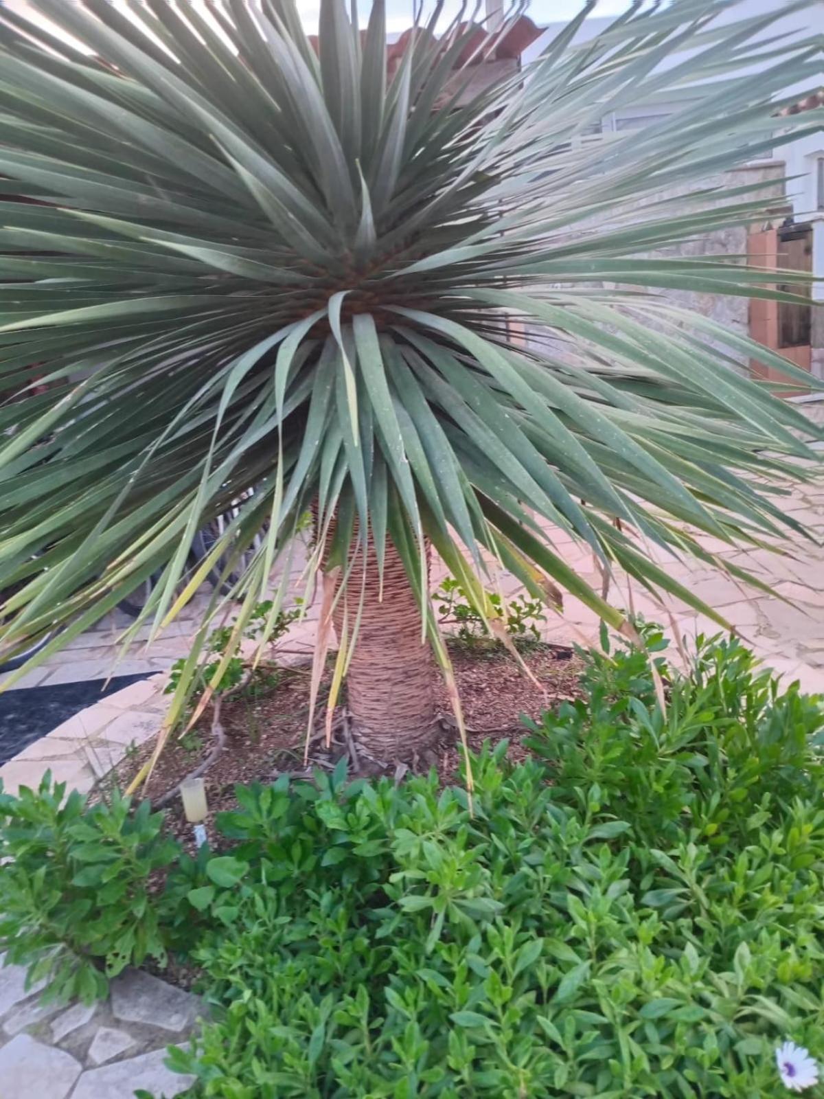 La Llar De Laura 2 Villa Amposta Dış mekan fotoğraf